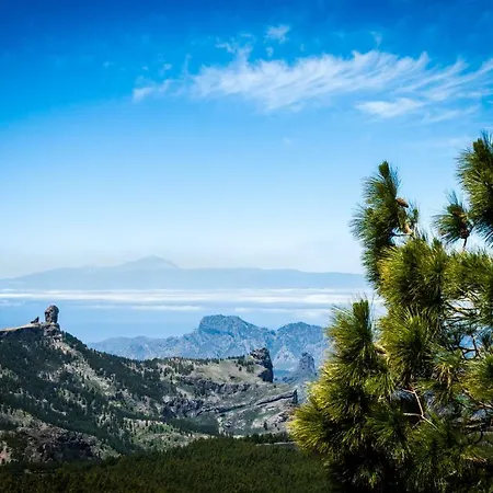 Plaza Farray Apartment Las Palmas de Gran Canaria